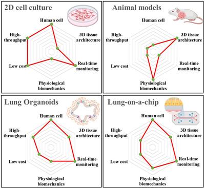 Advanced lung organoids and lung-on-a-chip for cancer research and drug evaluation: a review